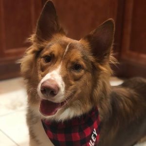 Meet your Posher, Jillian